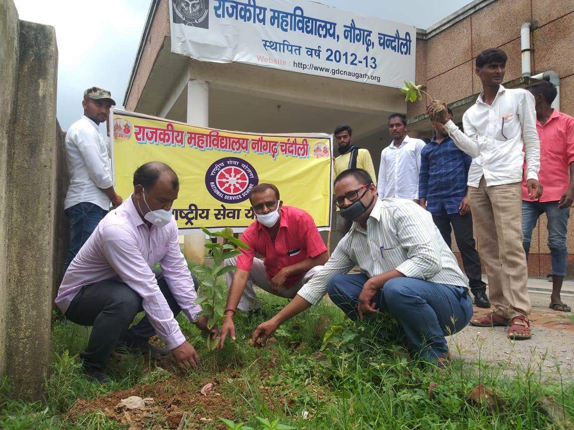 नौगढ़ के महाविद्यालय में पौधारोपण का कार्यक्रम, पर्यावरण को स्वच्छ रखने का संदेश