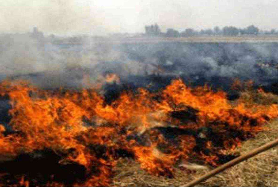 पराली जलाने वाले 2 किसानों के विरुद्ध हुई कार्रवाई, किसानों में मचा हड़कंप