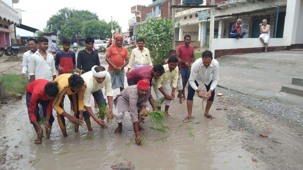 ग्रामीणों ने सड़क पर बने गड्ढों में रोपा धान, विरोध प्रदर्शन कर रहे लोग