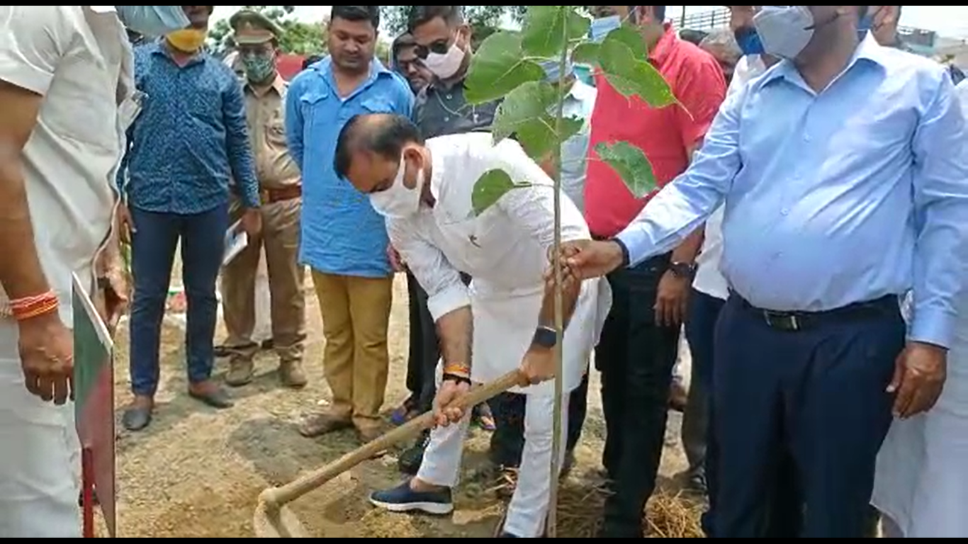 विधायक सुशील सिंह ने नगर पंचायत इलाके में किया पौधारोपण