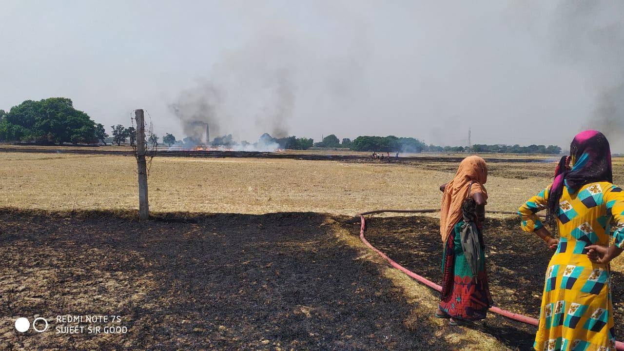 पराली के चक्कर में जल गया पड़ोसी किसान के जानवरों के लिए रखा सारा भूसा