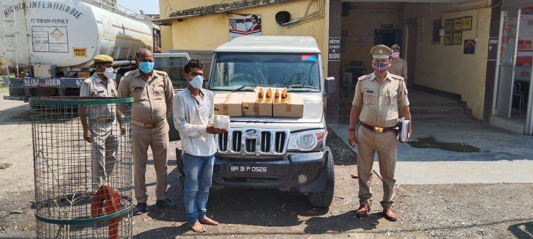 अलीनगर पुलिस के हत्थे चढ़े शातिर शराब तस्कर, बोलेरो सहित 245 पेटी अवैध शराब बरामद