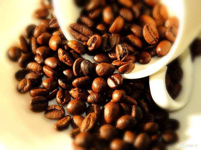 Get healthier with Move difference between pork and beef ribs Electrical energy Smoker