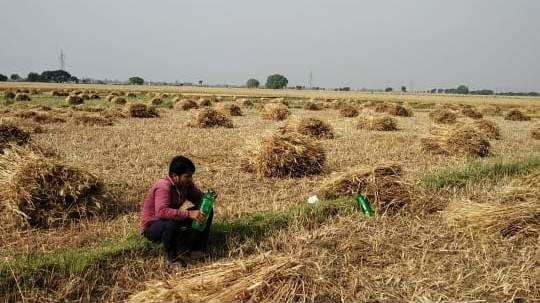 इन्द्रदेव के कहर से फिर मुश्किल में किसान, फसल हो रही है नष्ट