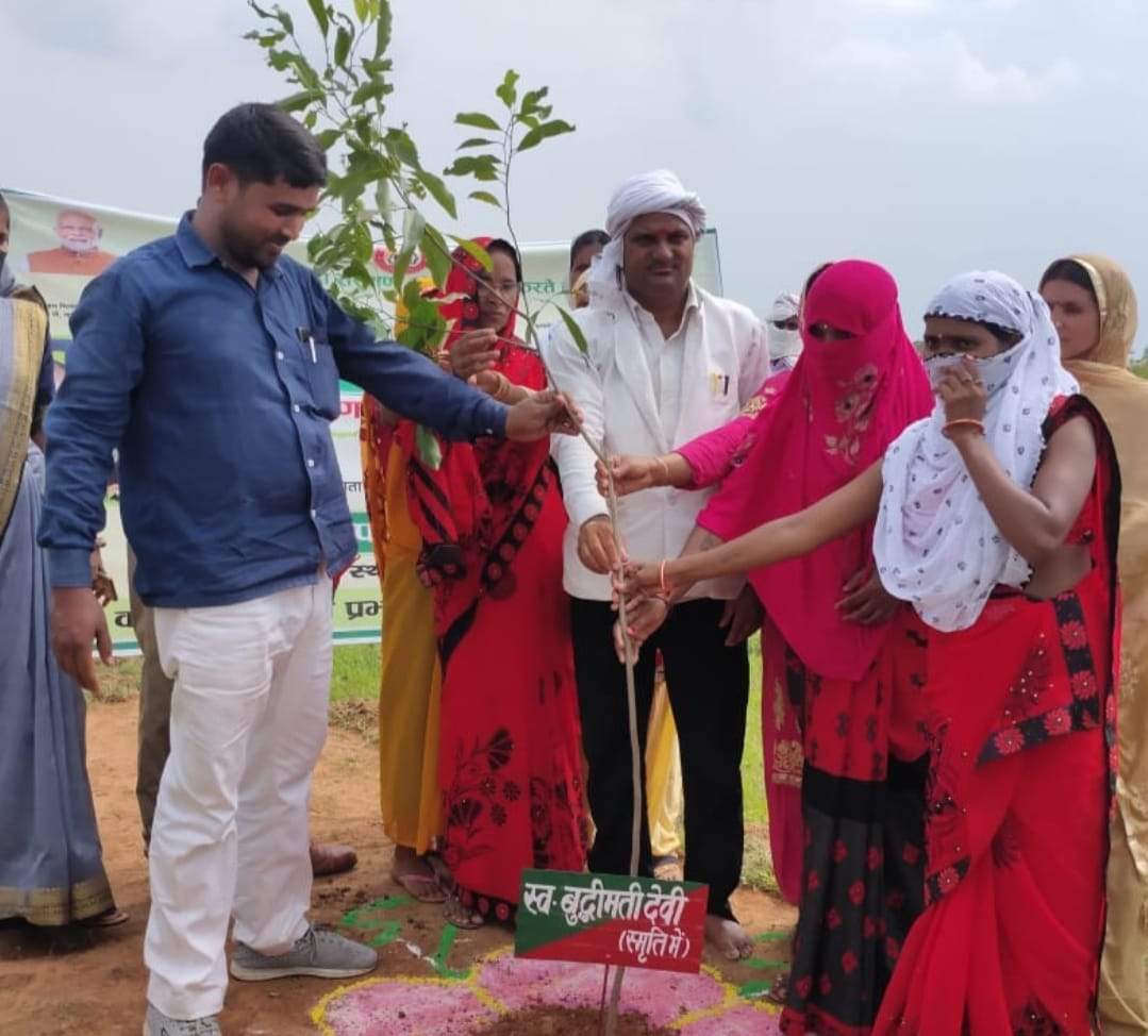 जानिए अपनों की याद में नौगढ़ में किन-किन लोगों ने स्मृति वाटिका में लगाया पौधा