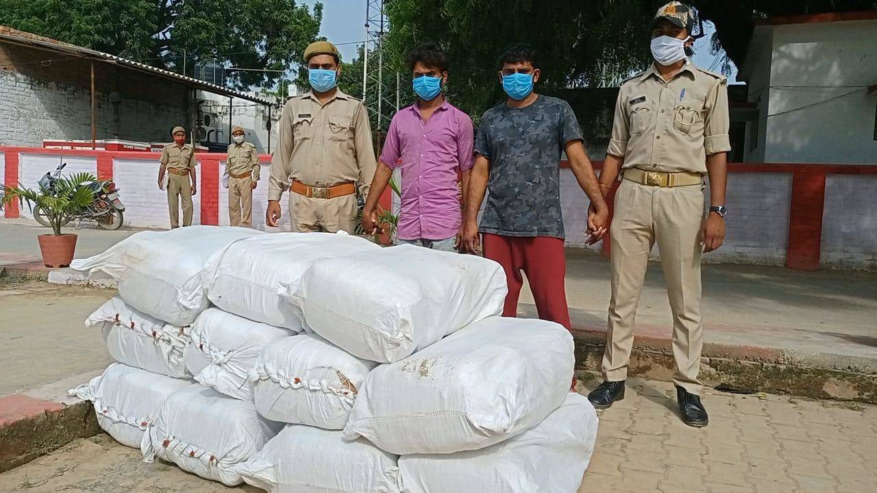 अलीनगर पुलिस ने 2 कुंतल 72 किलो गांजा की भारी खेप पकड़ा, तीन गांजा तस्कर भी हुये गिरफ्तार