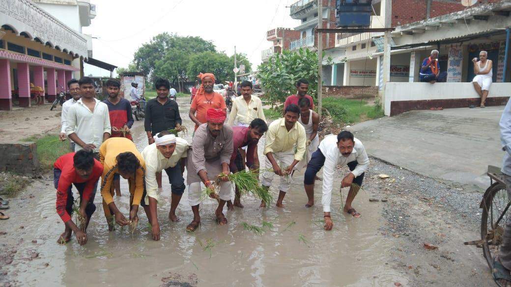 ग्रामीणों ने सड़क पर बने गड्ढों में रोपा धान, विरोध प्रदर्शन कर रहे लोग