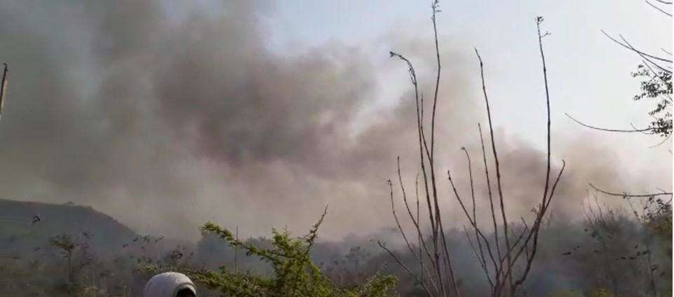 काफी मशक्कत के बाद वन विभाग ने पाया जंगल की आग पर काबू