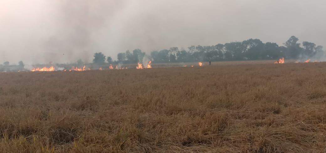 पराली जलाने के आरोप मे तीन किसानो पर मुकदमा दर्ज