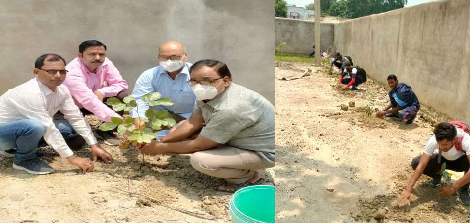 सकलडीहा इंटर कालेज में किया गया वृहद वृक्षारोपण