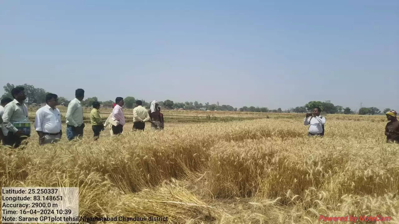 chandauli dm crop cutting 