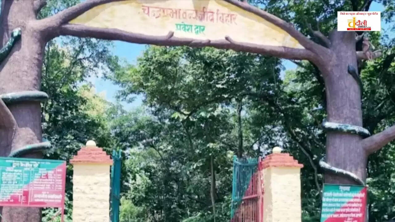 Chandraprabha Wildlife Sanctuary News, Saras Crane Extinction Naugadh, Ecosystem Indicator Bird Loss