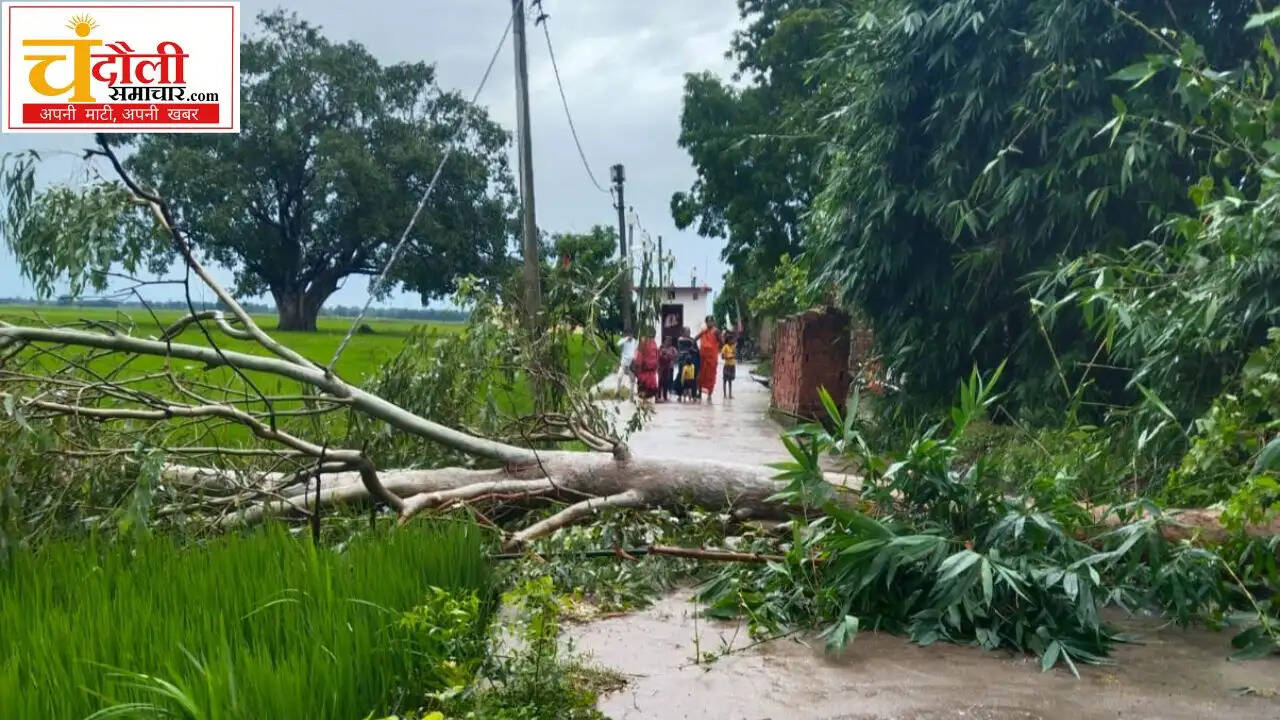chandauli-news-shahabganj-khakhra-electric-pole-fall-power-outage
