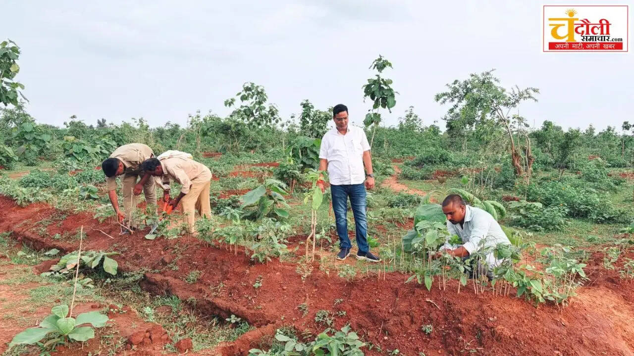 jaimohani-range-plantation-maintenance-tanker-news