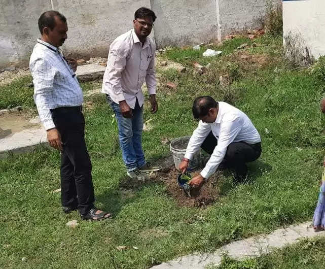 BSA chandauli plantation 