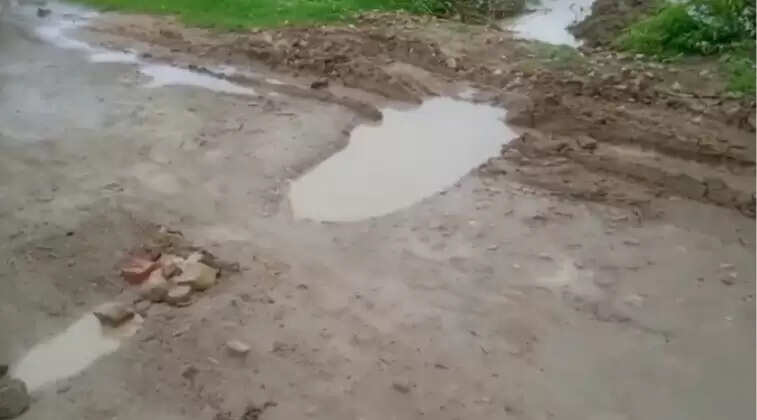 irrigation department