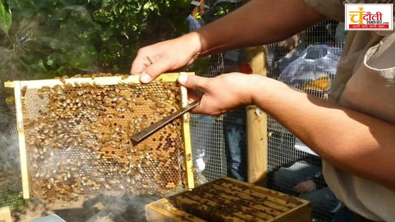 kvk-bee-keeping-state-conference-18-september