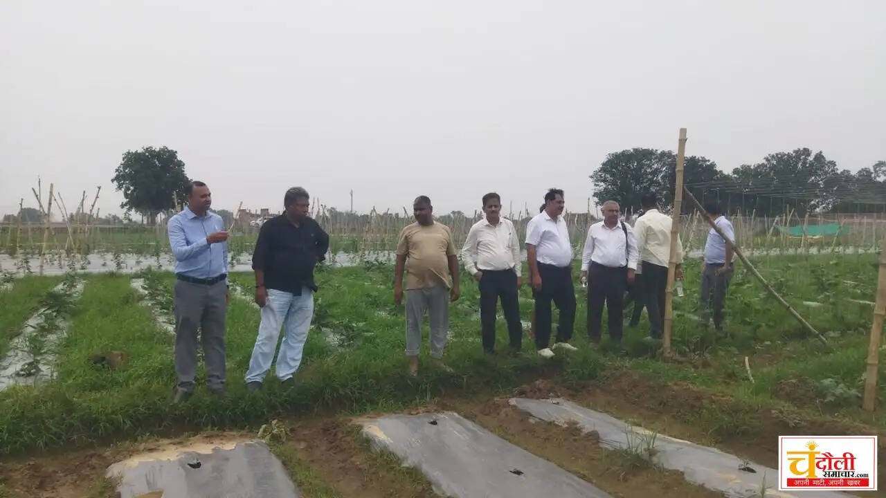 chandauli-upcar-bhu-kvk-integrated-farming-system-inspection-news
