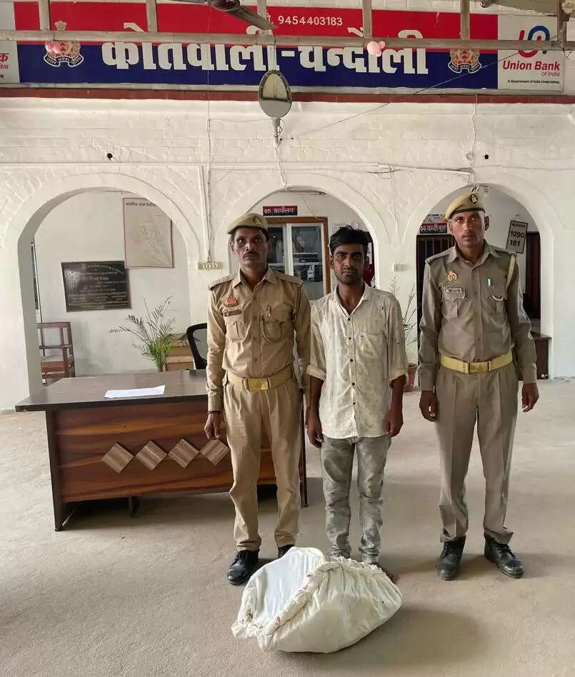 arrested thief 