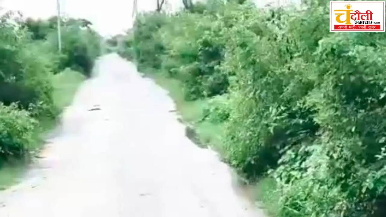 chandauli-canal-bushes-hazard-dm-office-high-voltage-wire