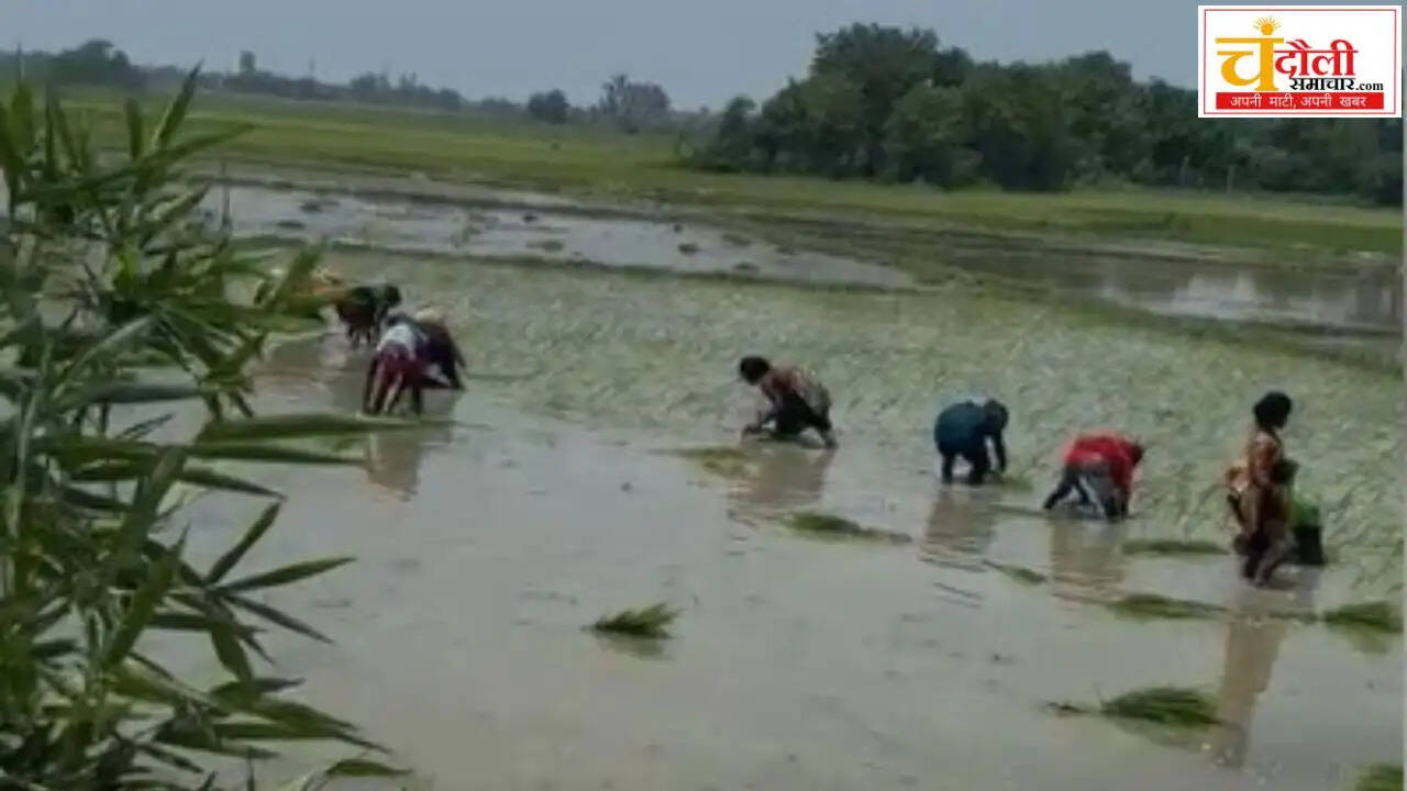 sakaldiha-dharhara-lekhpal-land-encroachment-fir