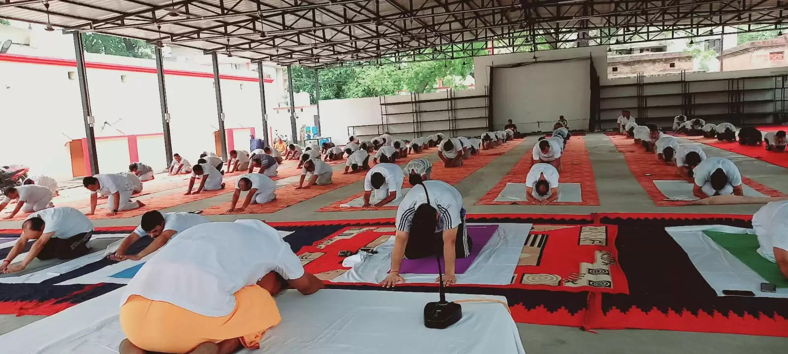 international yoga day