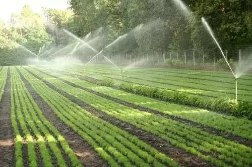 drip irrigation scheme