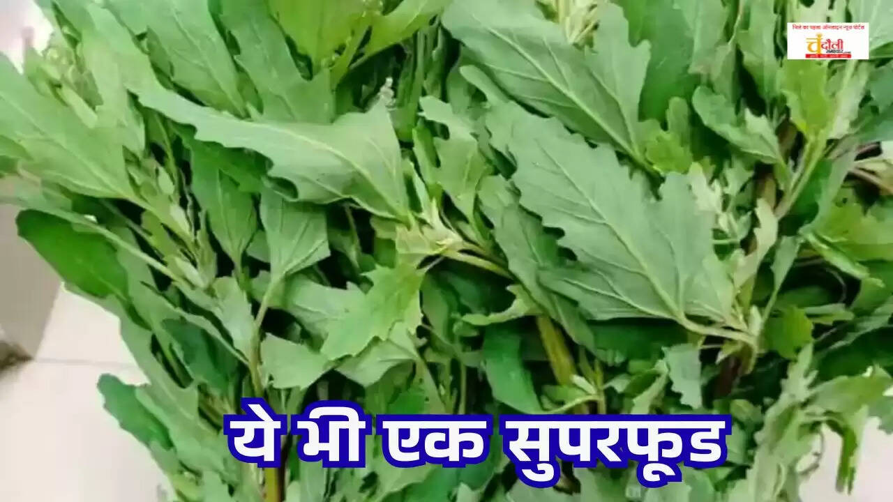  Bathua Benefits, Health Tips, Winter Superfood