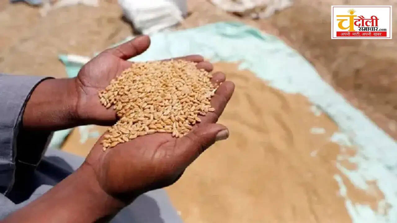 chandauli news wheat procurement, chandauli khabar wheat centers, 