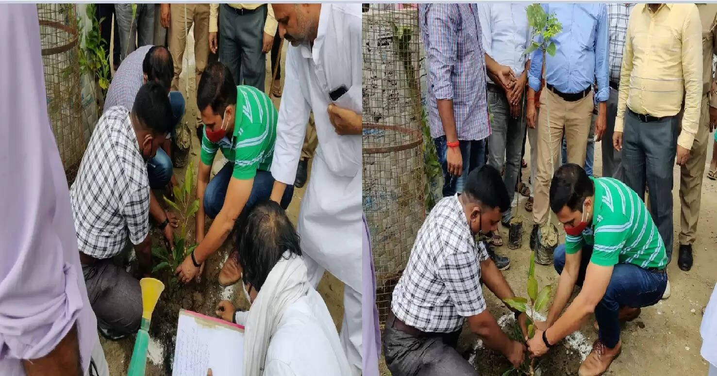 Joint Magistrate Meena