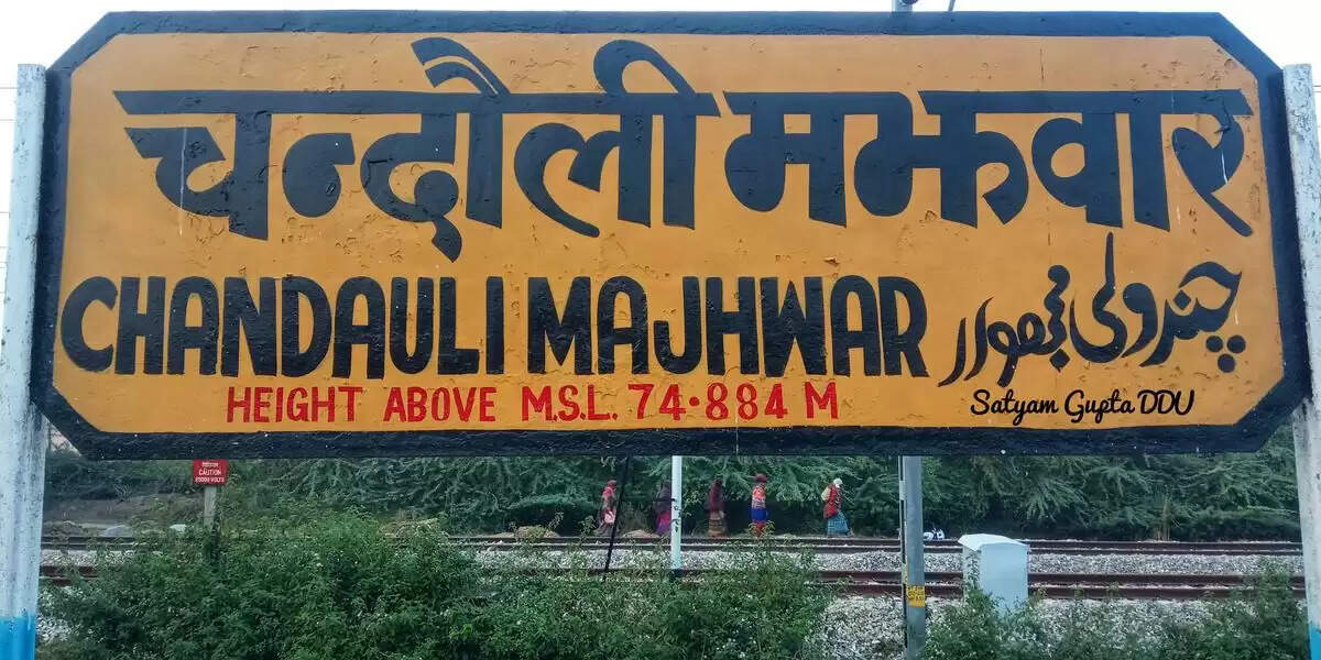 Rajya Sabha MP Sadhana Singh