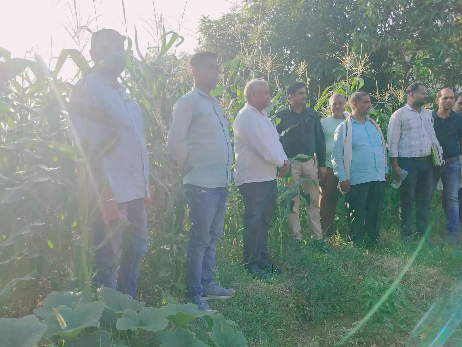 Agriculture inspected