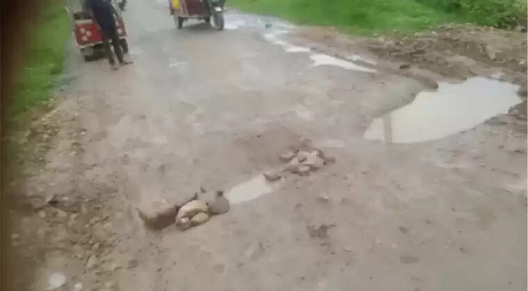 irrigation department