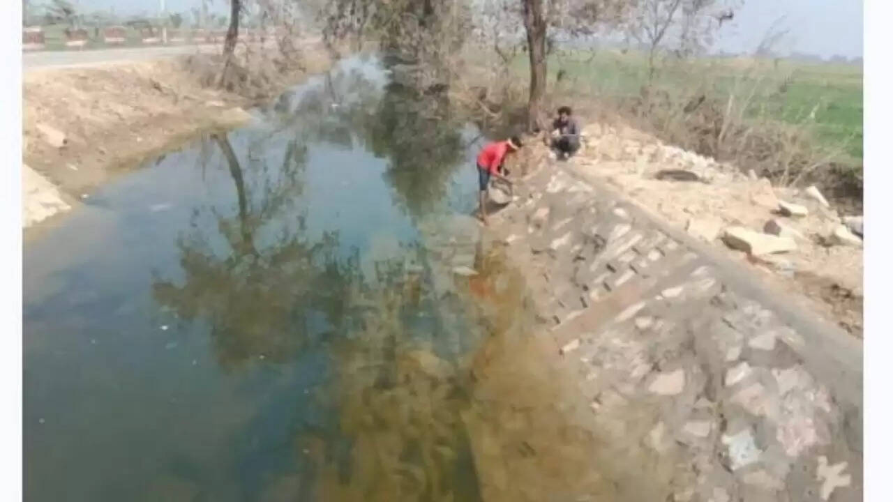 Chandauli news canal repair corruption, Ben Dharuli Rajwaha Chandauli khabar