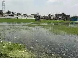  sakaldiha pg college 