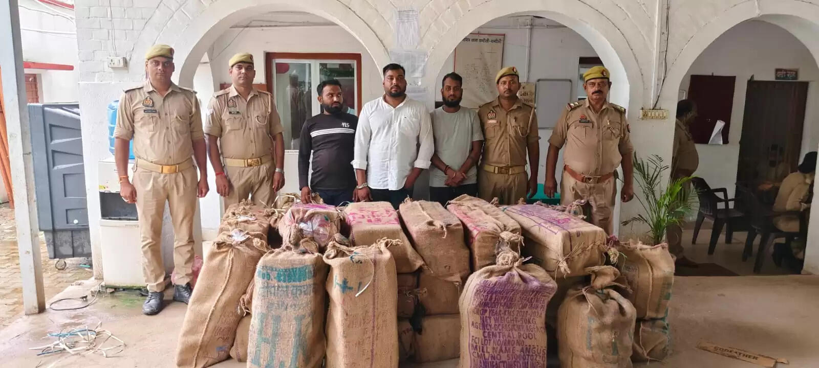 arrseted 3 wine taskars