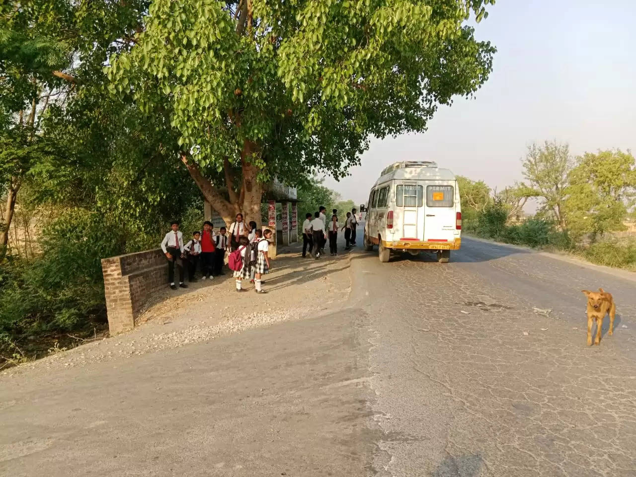 school bus accident 
