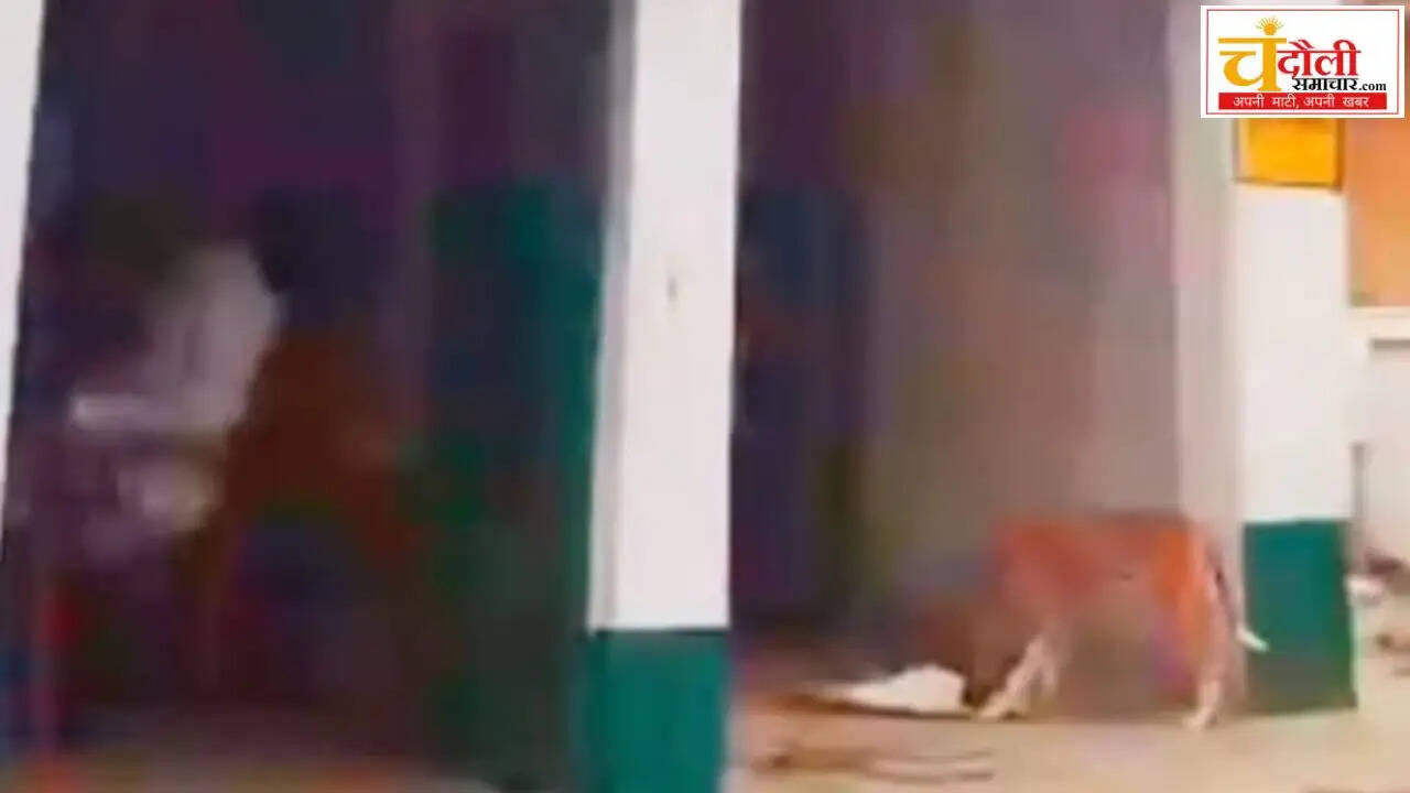 naugarh-schools-three-incidents-bsa-action-update