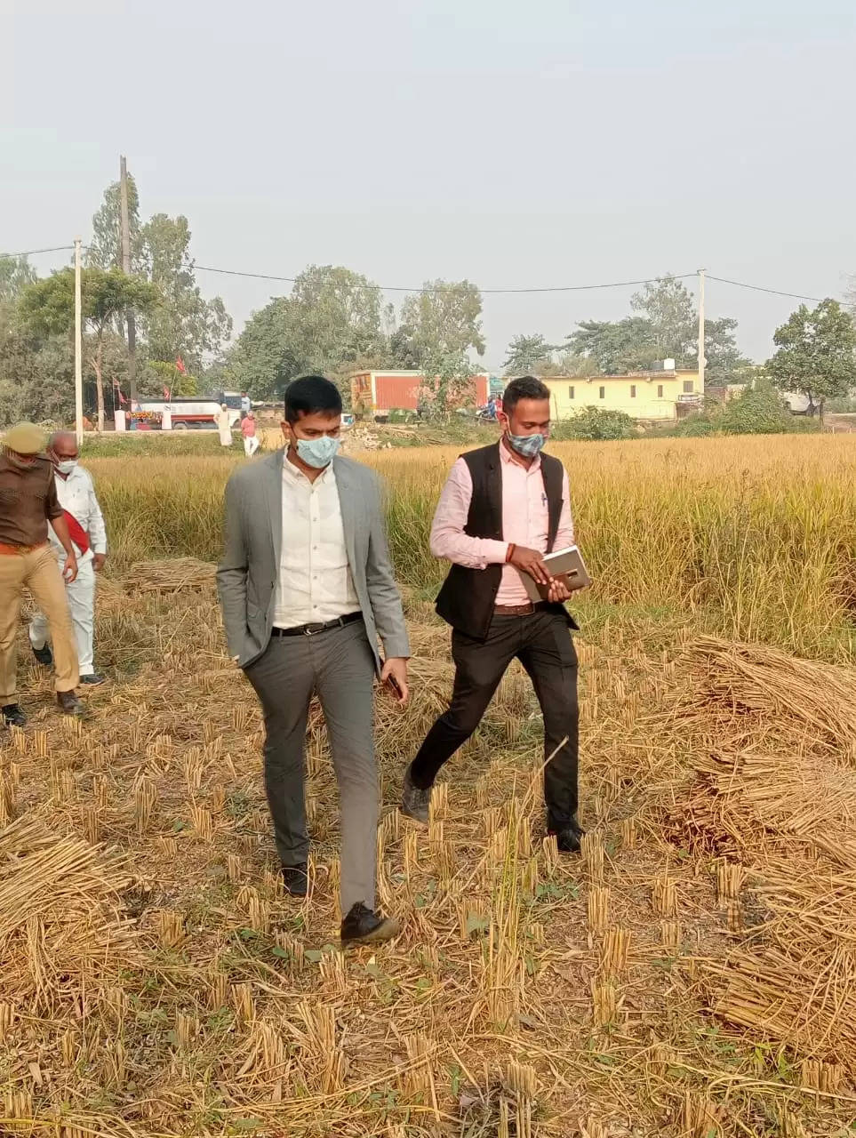 Crop cutting in katsila village,