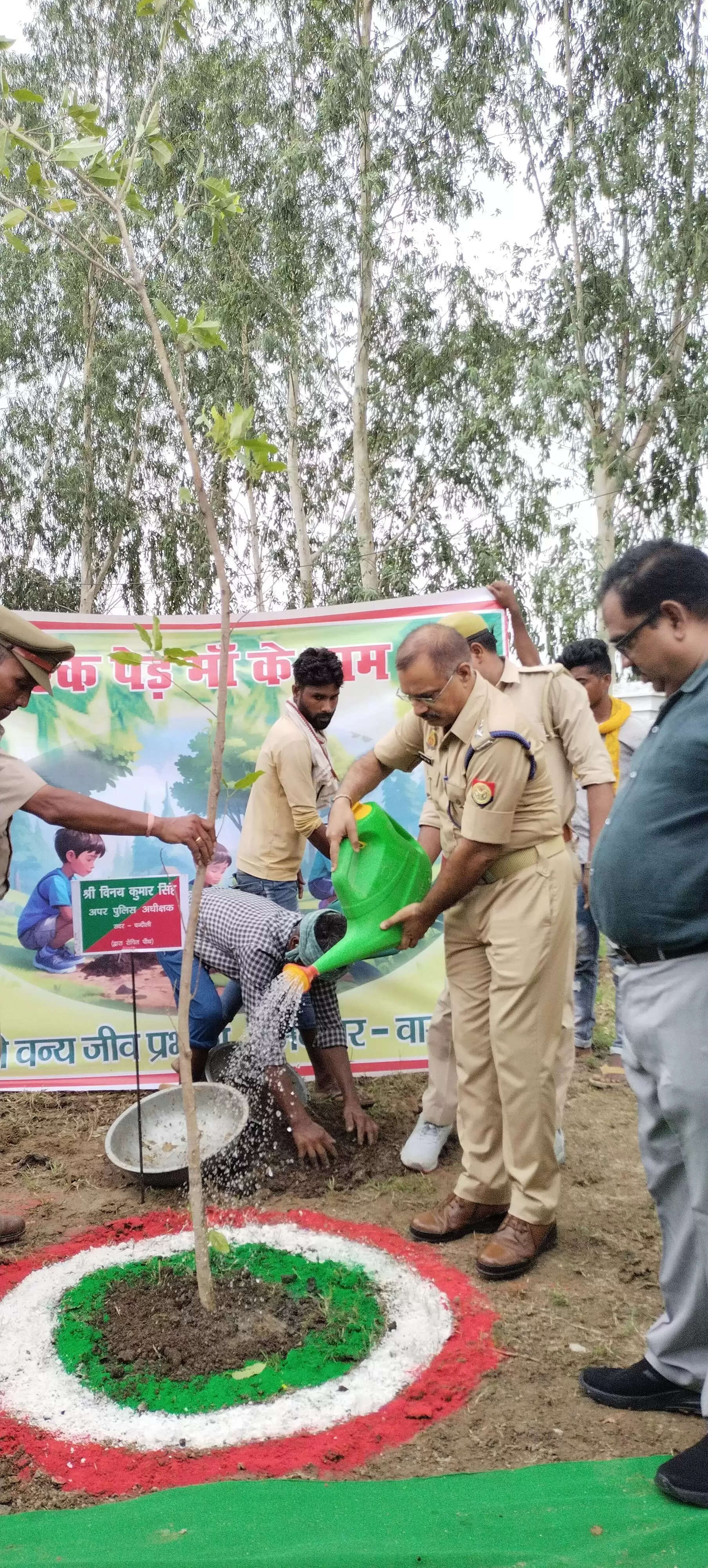  DM Chandauli Plantation