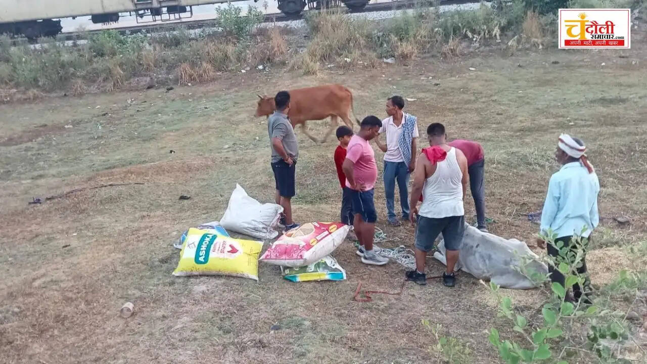 cattle-smugglers-escape-sakaldiha-police-failure