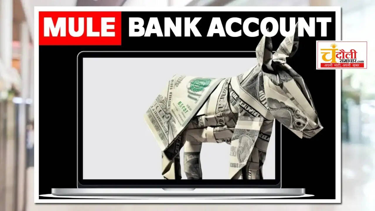 chandauli-cyber-fraud-mule-bank-accounts-case-registered