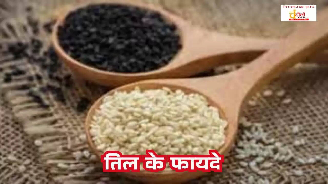 Health benefits of sesame seeds  Calcium rich food for bones  Ayush Ministry tips for health