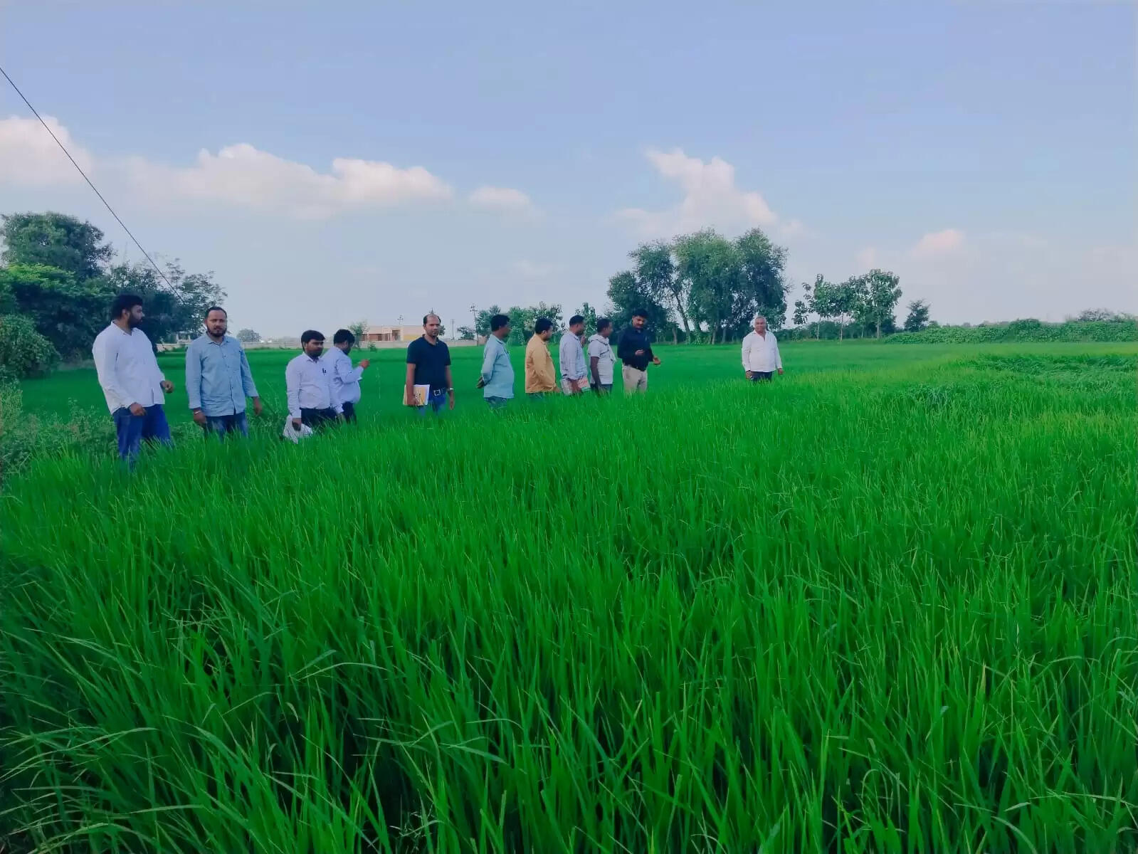 Agriculture inspected