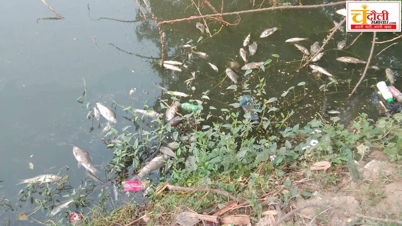 fish-farming-poison-50-lakh-loss-police-complaint