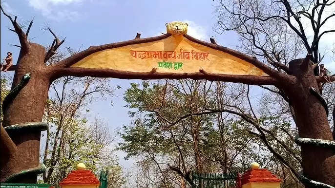 Chandraprabha sanctuary  increased 