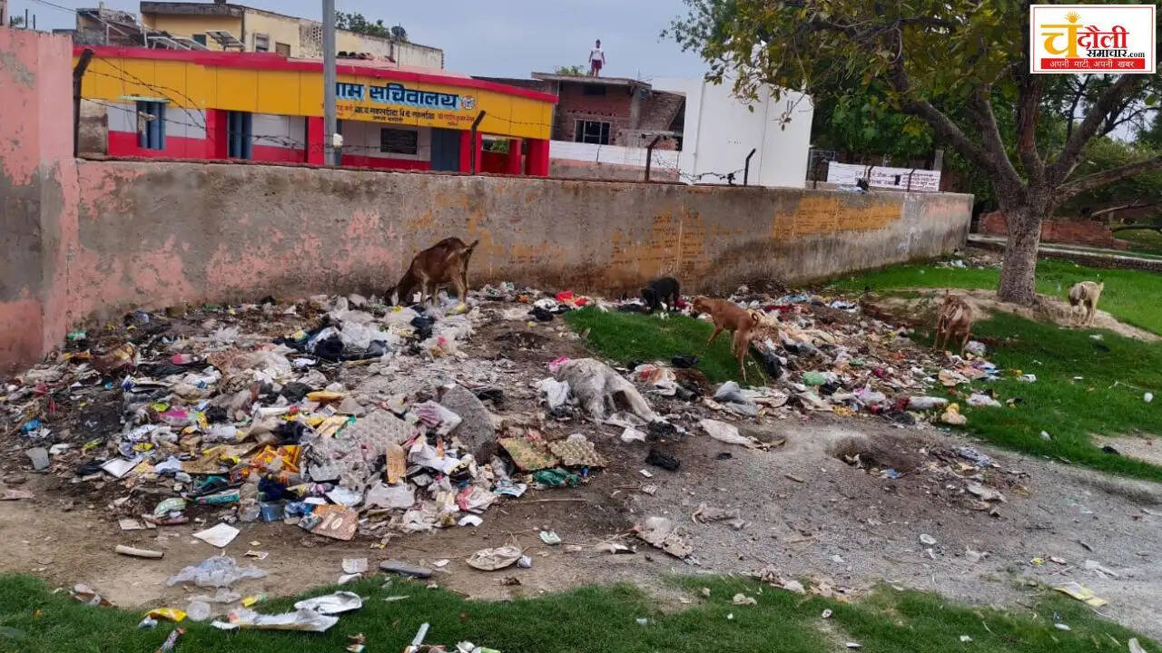 chandauli-news-sakaldiha-gram-panchayat-garbage-issue-pradhan