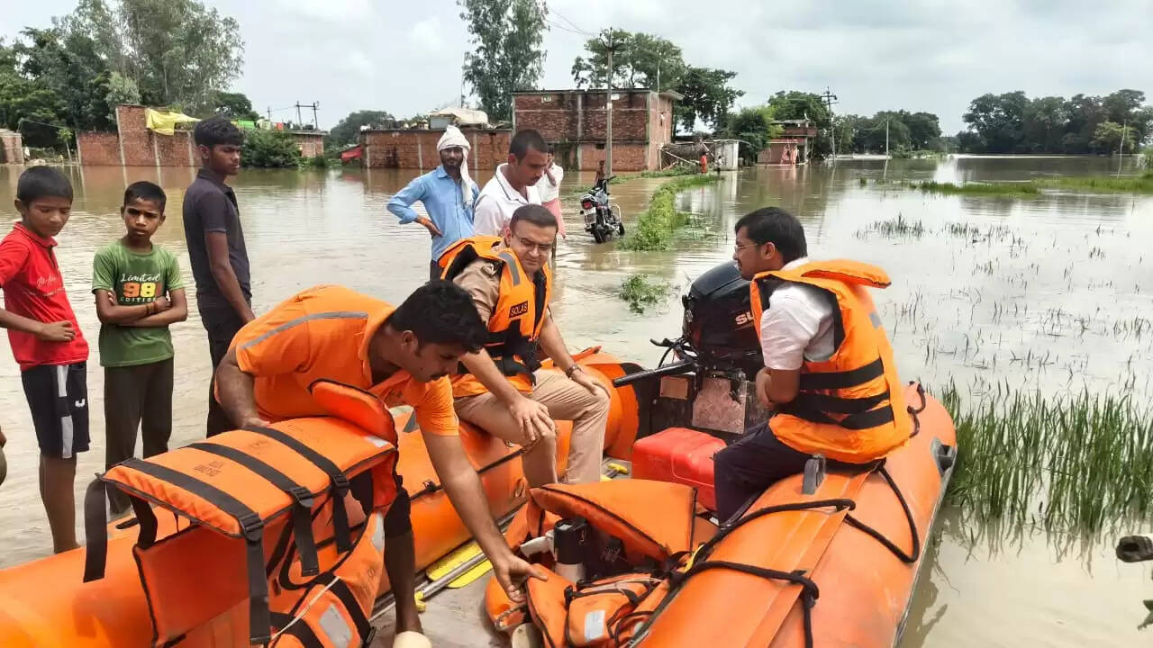 dm sp inspection