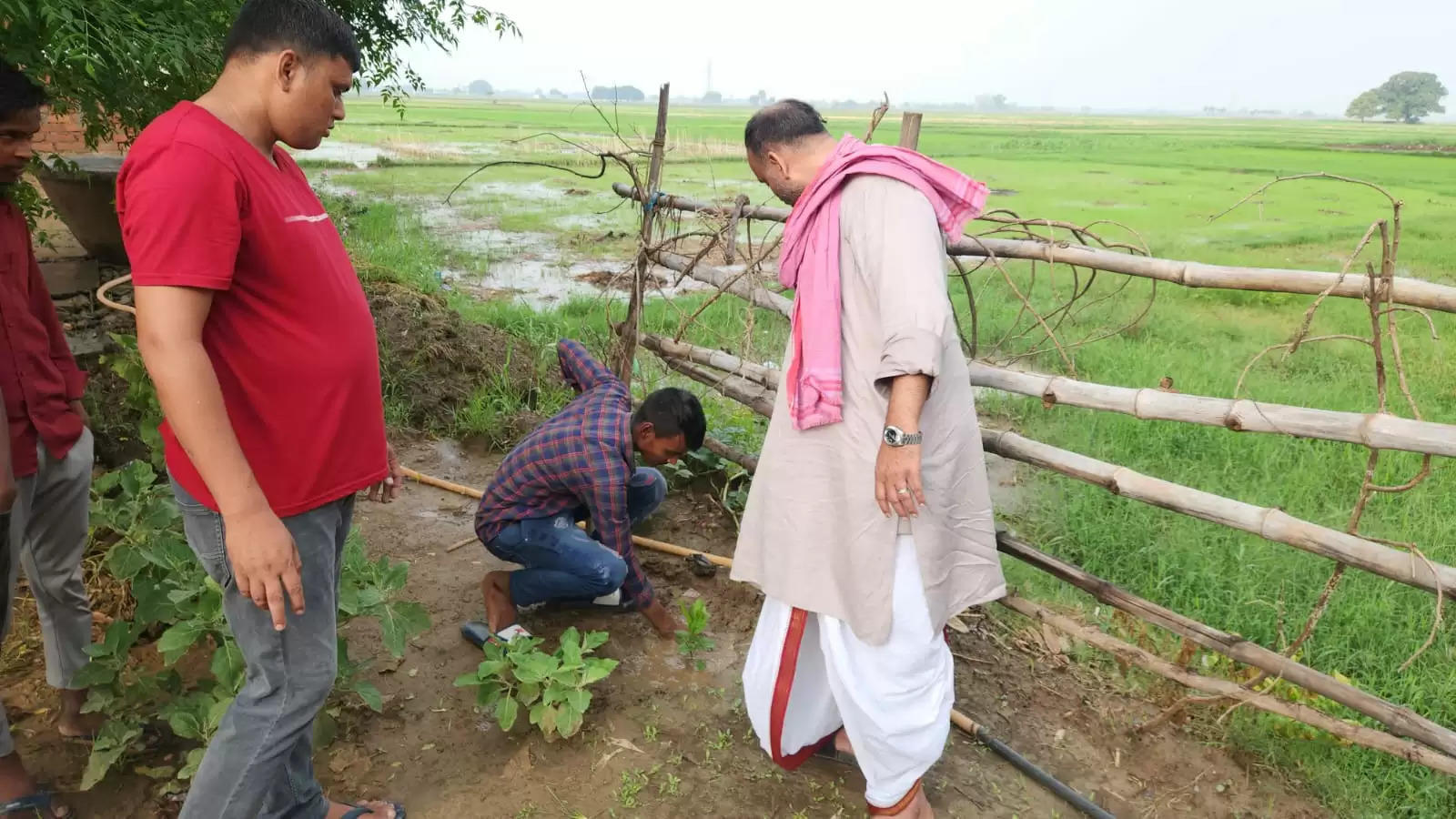 Manoj Singh w Plantation i