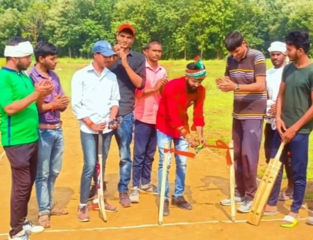 canvas cricket competition started